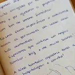 Alpehytte Pedra Viva *